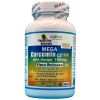 Mega Curcumin C3 1100 mg Sustained Time Release Max Dosage Each caplet equals 33,000 mg Turmeric Powder Promotes Immune and Joint Health